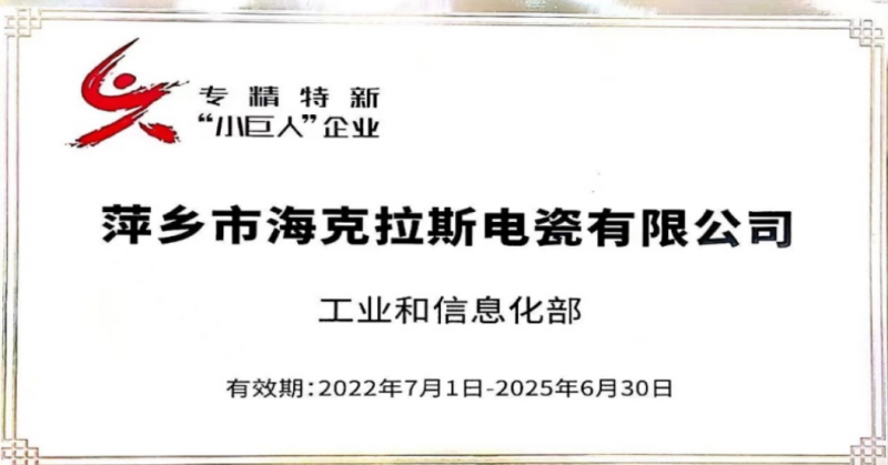 國家級專(zhuān)精特新小巨人