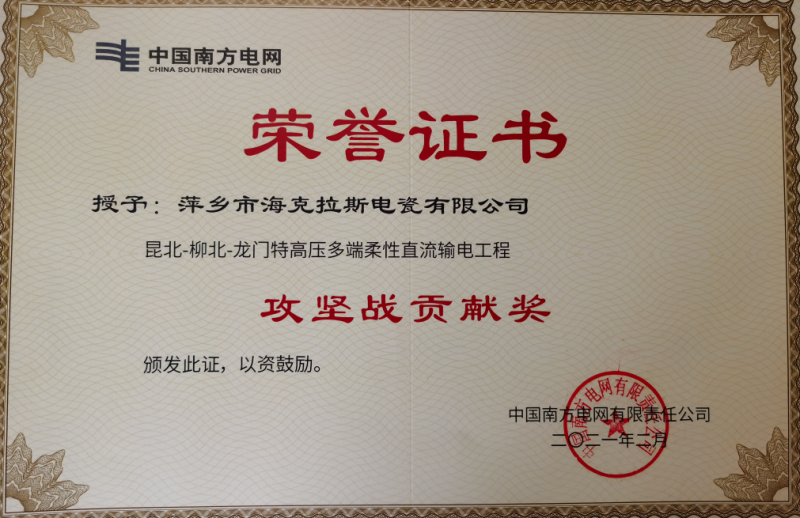 中國南方電網(wǎng)有限責任公司攻堅戰貢獻獎
